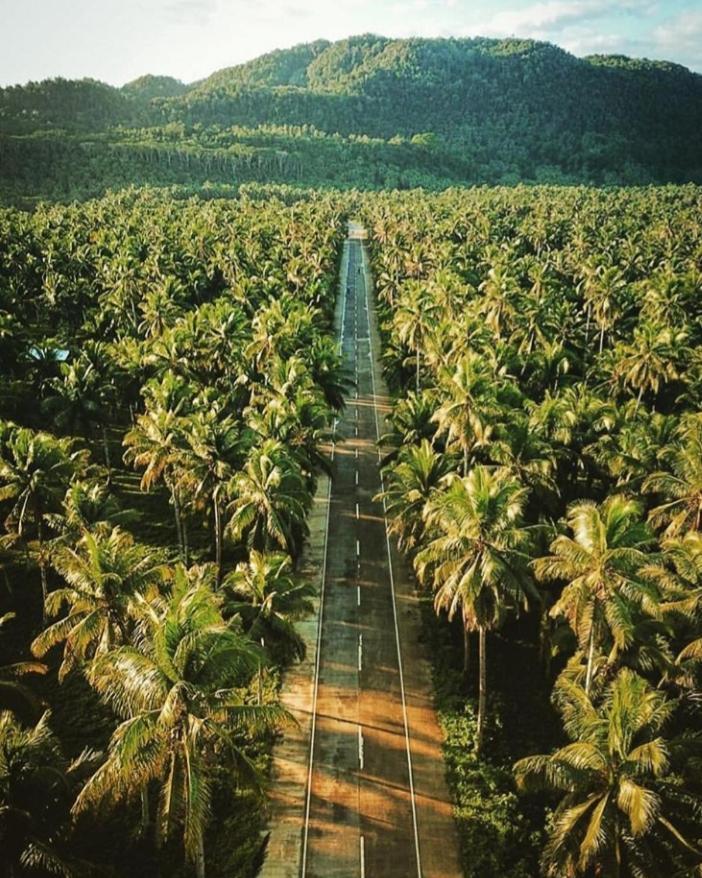 "Triangle Hut" Camp Fuego Siargao Otel Catangnan Dış mekan fotoğraf